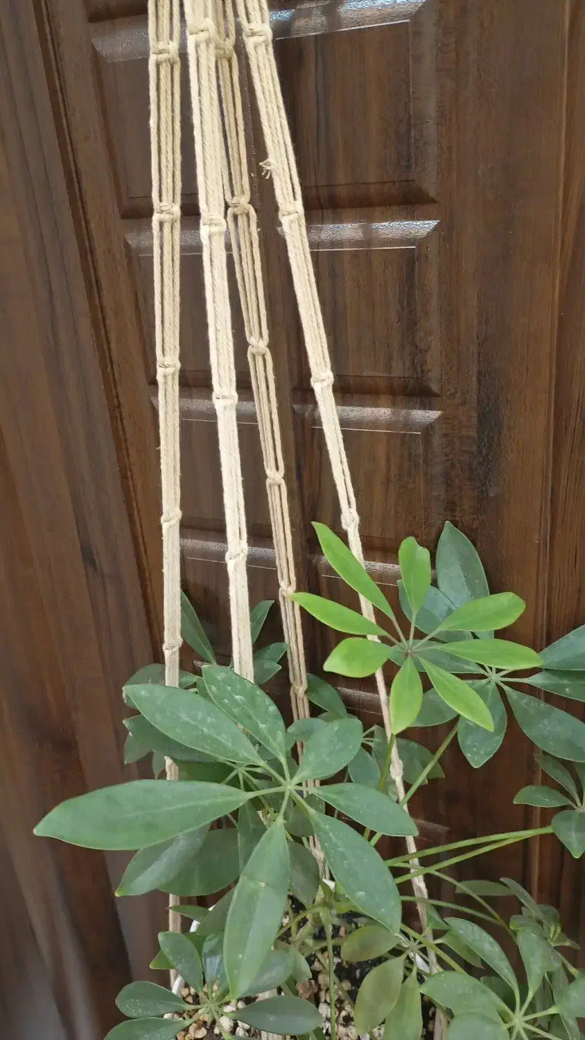 اویز و شلف مکرومه|صنایع دستی و سایر لوازم تزئینی|میانه, |دیوار