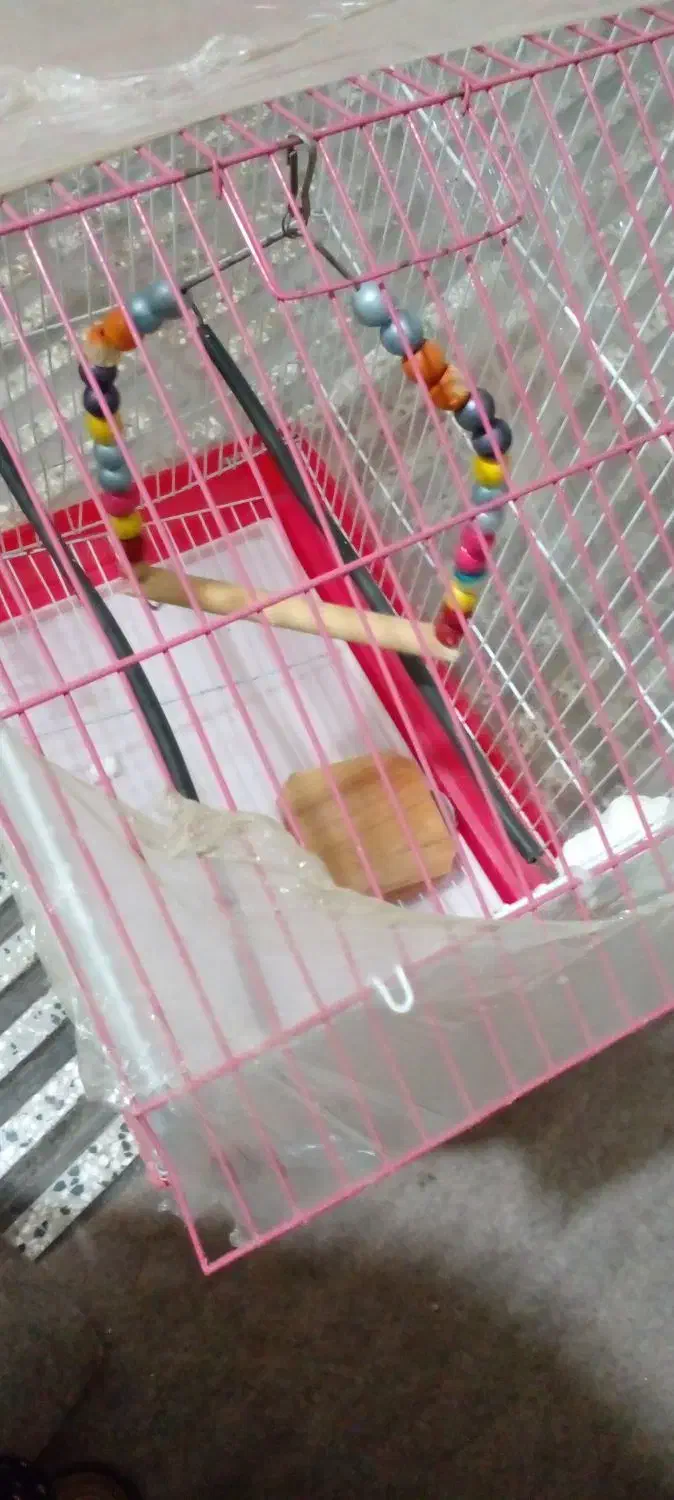 قفس پرنده|لوازم جانبی حیوانات|گرگان, |دیوار