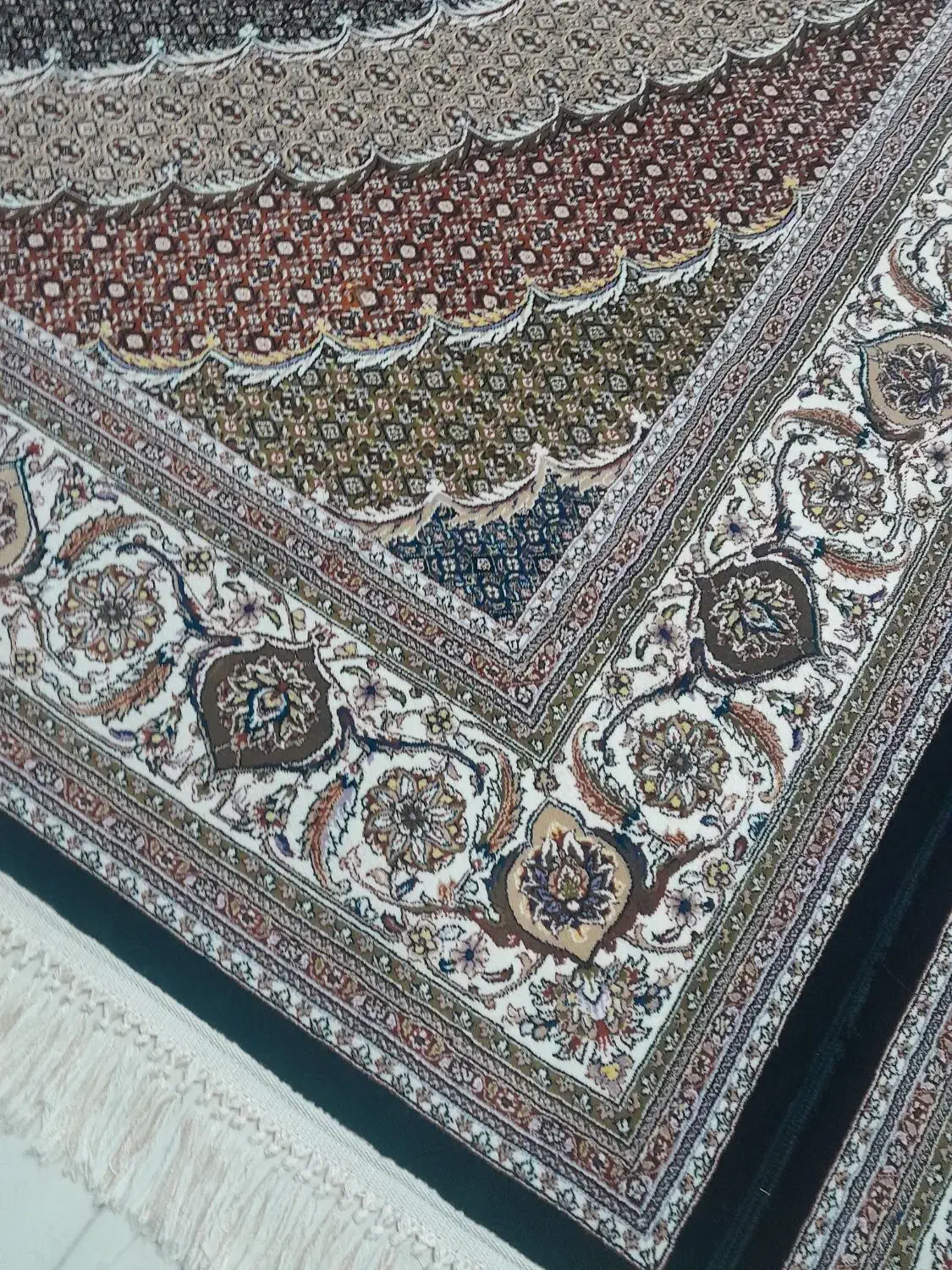 فرش ۱۲ متری ریز ماهی فوق العاده خوشگل|فرش|چهارباغ, |دیوار