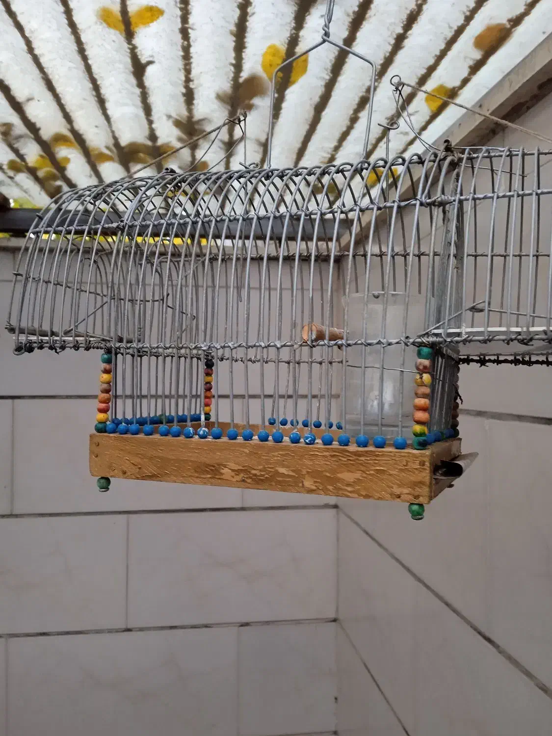 قفس تله دستساز|لوازم جانبی حیوانات|الوند, |دیوار