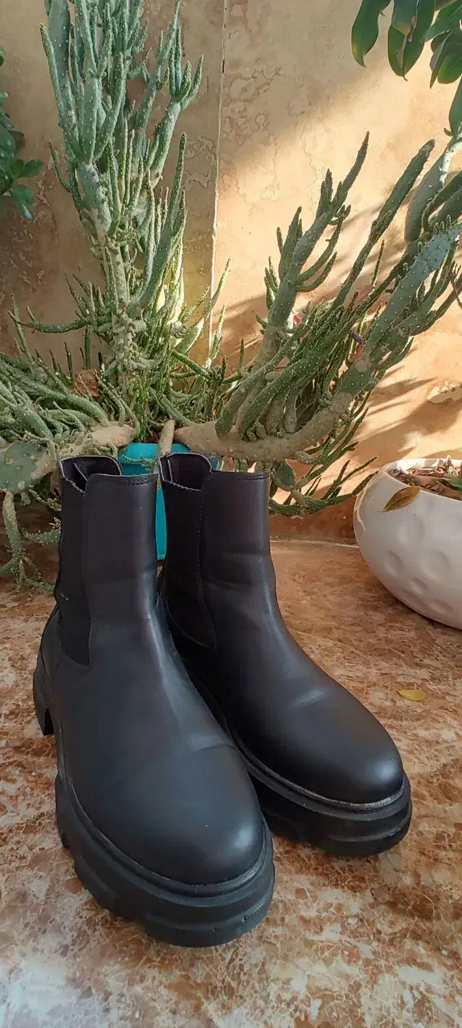 کفش در حد نو|کیف، کفش، کمربند|ساری, |دیوار