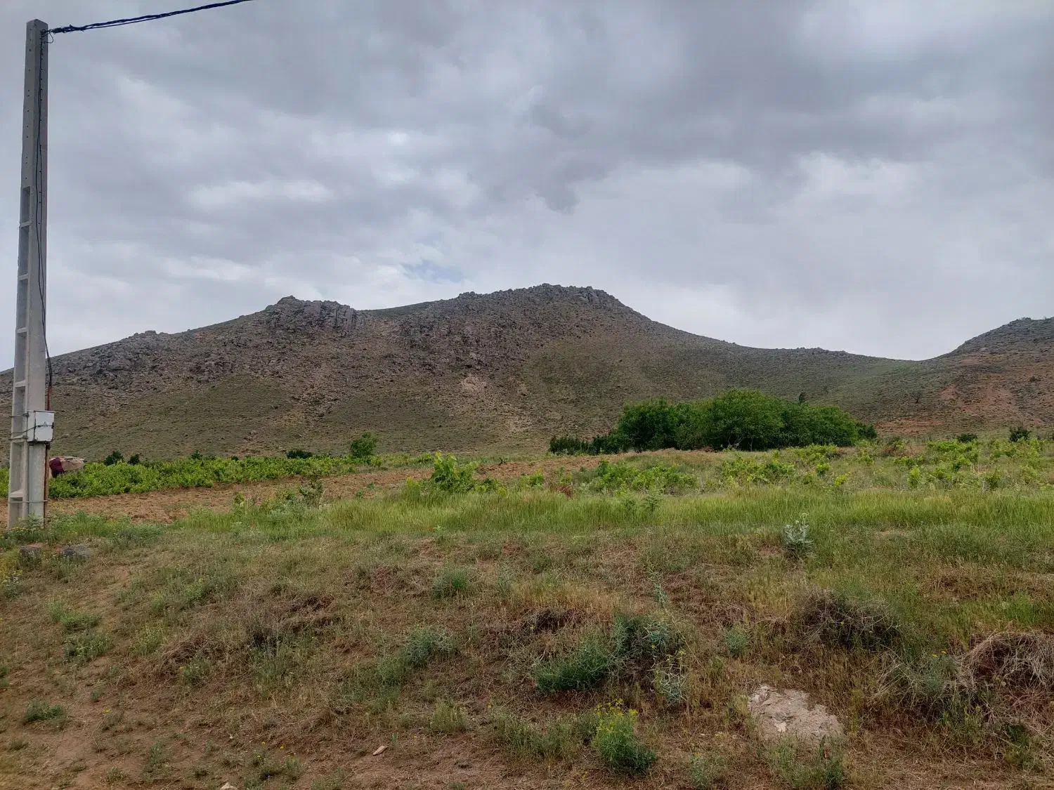 زمین باغ انگور|فروش دفتر صنعتی، کشاورزی، تجاری|بهار, |دیوار