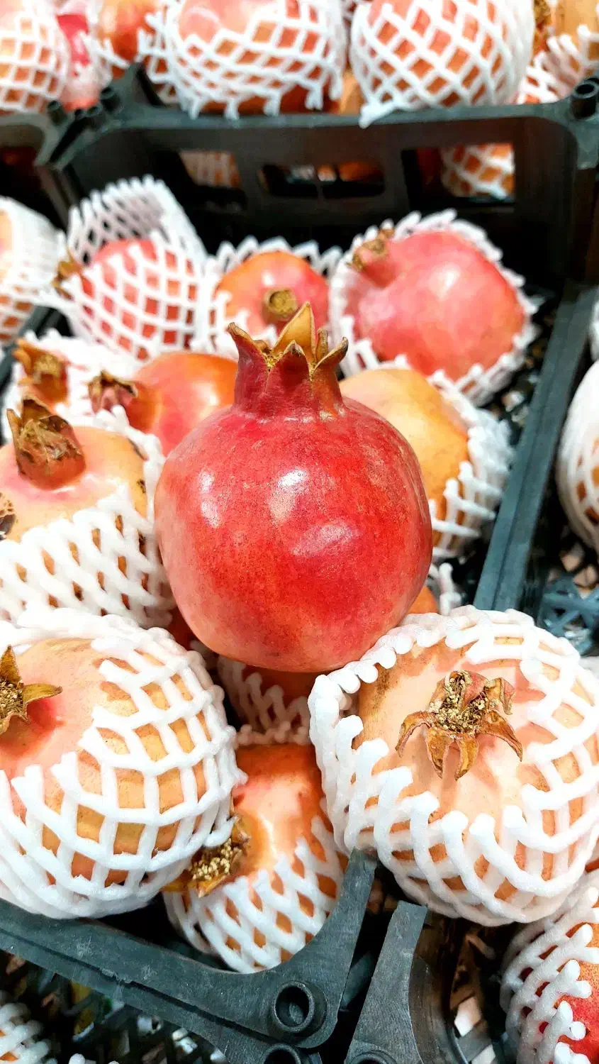 انار شیرین و قرمز + هایپر میوه گلچین|خوردنی و آشامیدنی|شاهدشهر, |دیوار