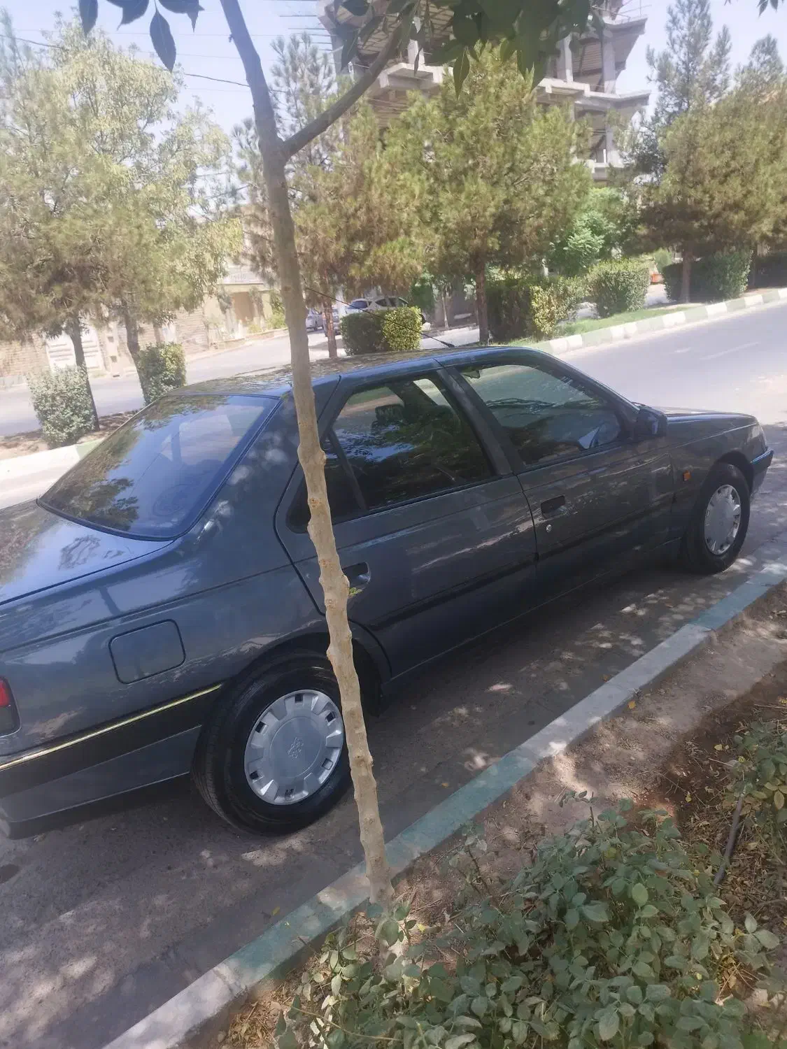 پژو 405 مدل 98 تک سوز|خودرو سواری و وانت|قم, باجک دو|دیوار