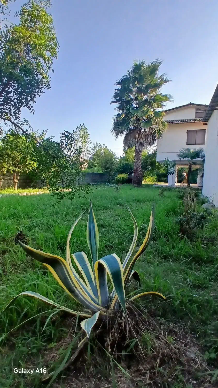 ویلا استخردار نوساز بیلیارد فوتبالدستی|اجارهٔ کوتاه‌مدت ویلا و باغ|شیرود, |دیوار