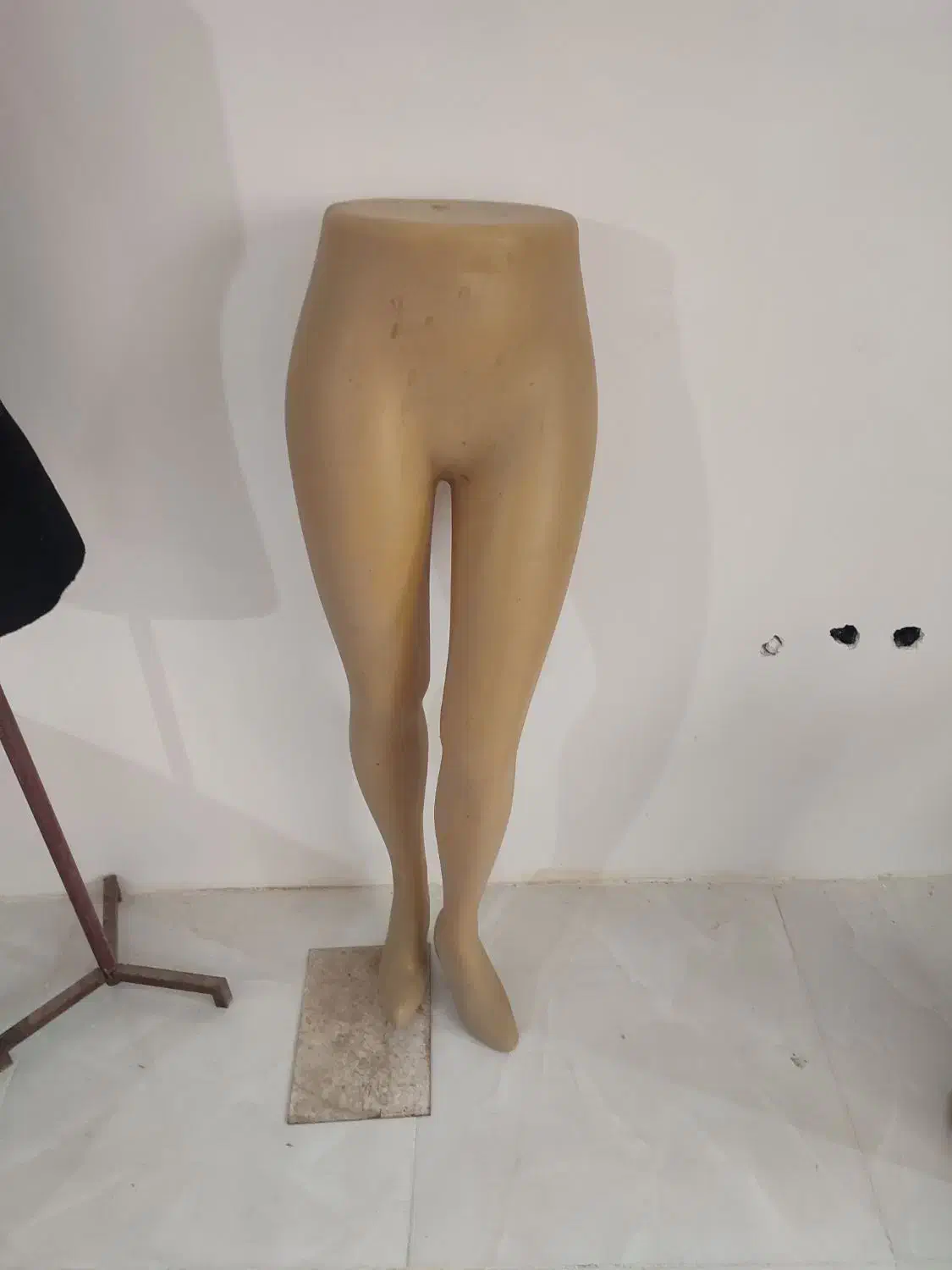 مانکن سوزن خور رگال پا|فروشگاه و مغازه|آبیک, |دیوار