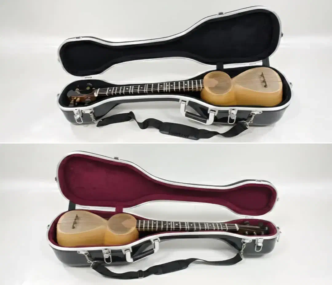 هادی کیس تار آذری باکس جعبه اورجینال ضدی ضربه|سازهای سنتی|تبریز, |دیوار