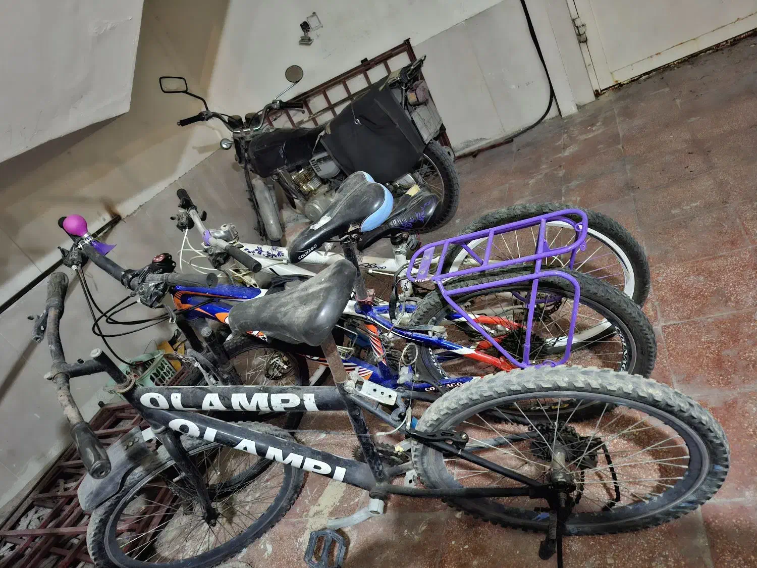 دوچرخه ۲۴ اصلی ویوو|دوچرخه، اسکیت، اسکوتر|بندر ماهشهر, |دیوار