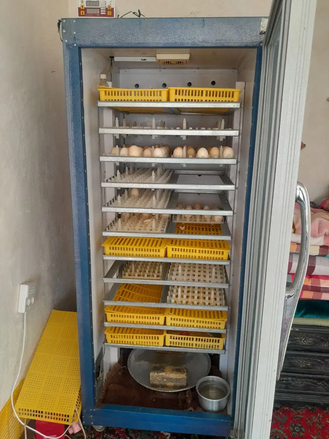 دسگاه جوجه کشی ۱۱۰۰ تایی دماوند|لوازم جانبی حیوانات|نورآباد, |دیوار