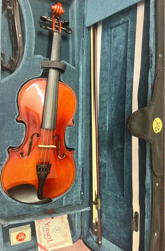 ویالون mv 146|ویولن|تهران, صادقیه|دیوار