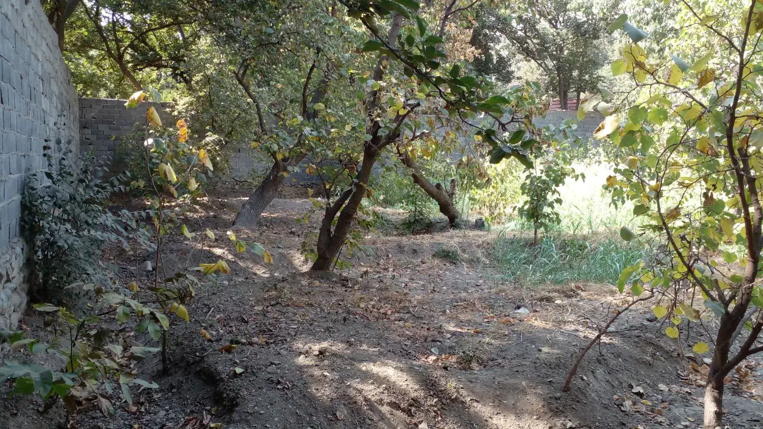 ۷۳۲ متر باغ - زنبق|فروش زمین و ملک کلنگی|تهران, کن|دیوار