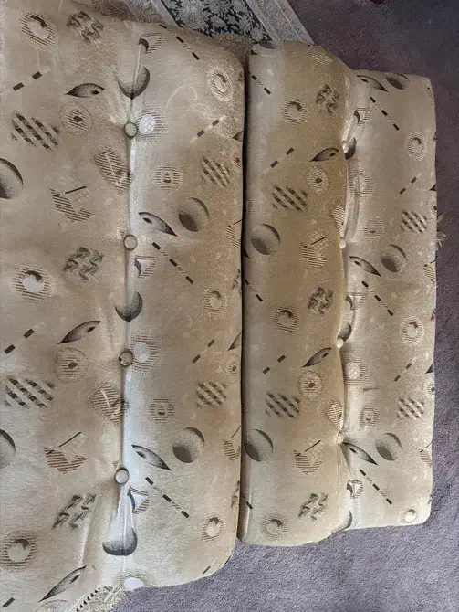 دو عدد پشتی|پشتی|بوشهر, |دیوار