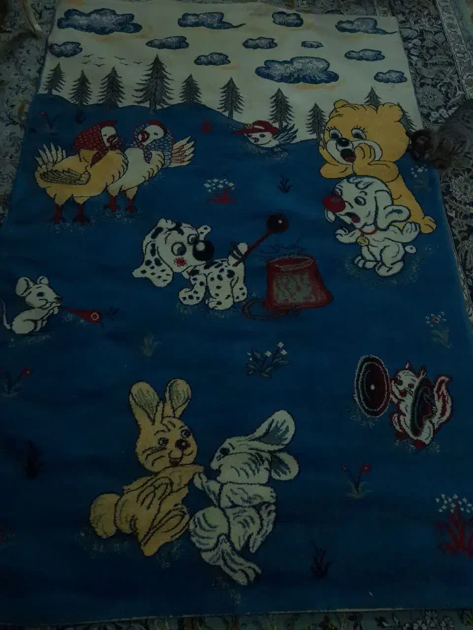 فرش|فرش|مشهد, شهید هاشمی نژاد|دیوار