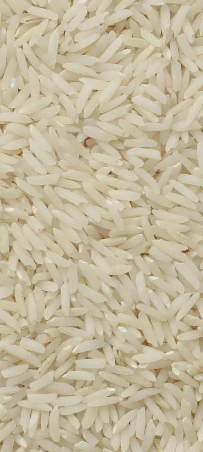 برنج درجه 1 هاشمی الموت|خوردنی و آشامیدنی|محمدیه-قزوین, |دیوار