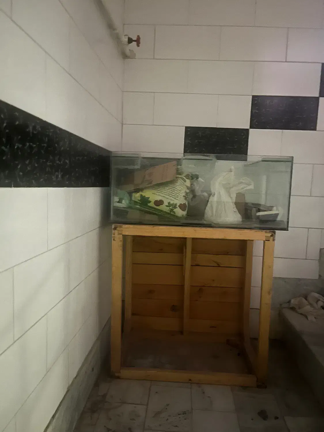 اکواریوم|ماهی|کرج, عظیمیه|دیوار