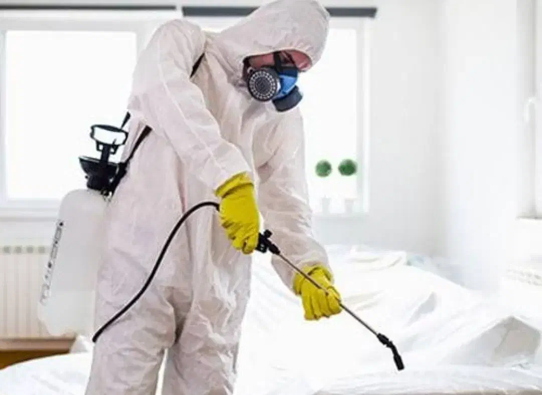 سمپاشی منزل سم پاشی،ازبین بردن حشرات مزاحم|خدمات نظافت|همدان, |دیوار