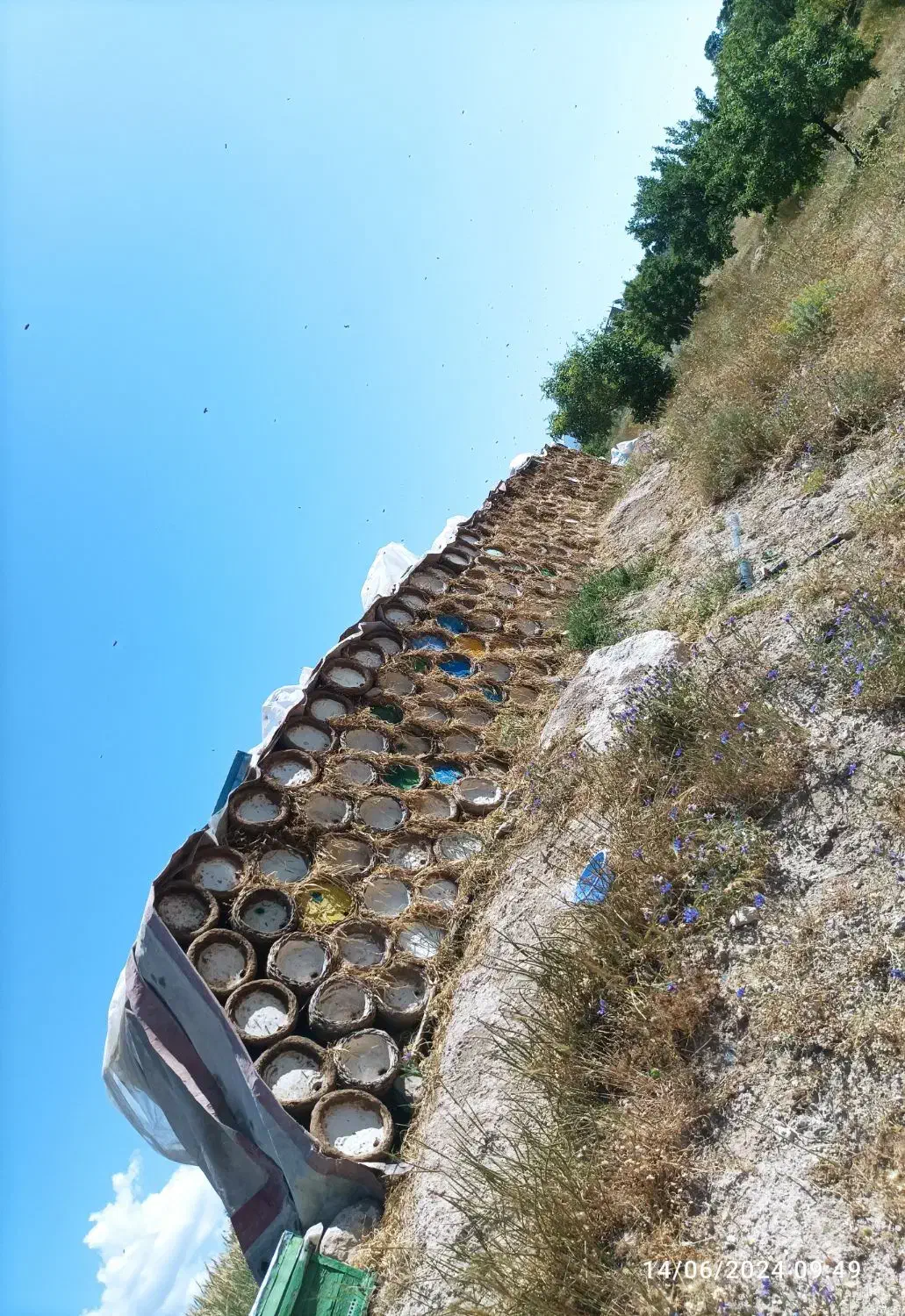 عرضه عسل درمانی کوهستانی|خوردنی و آشامیدنی|مرند, |دیوار