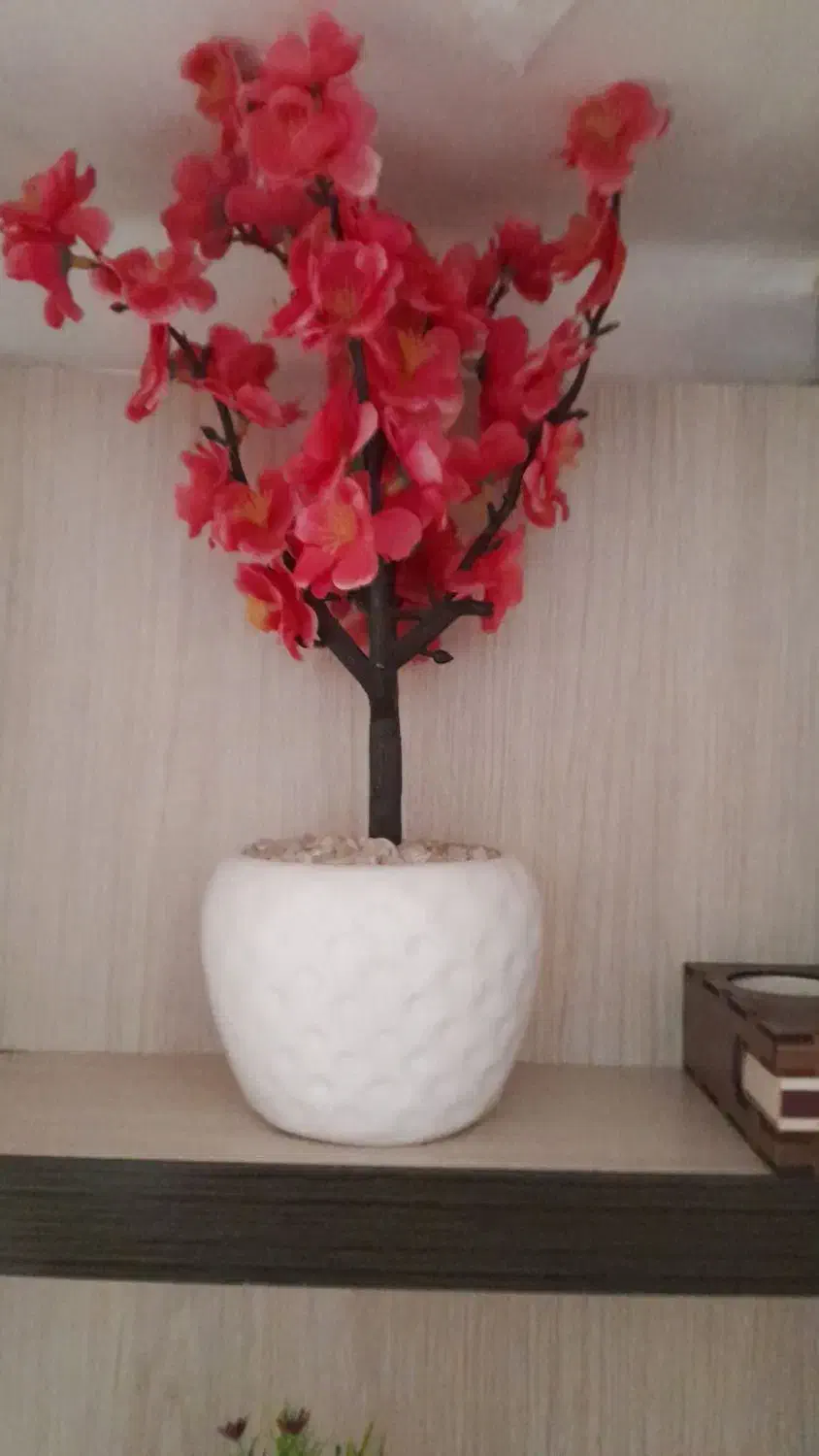 دکوری|گل مصنوعی|تهران, خاوران|دیوار