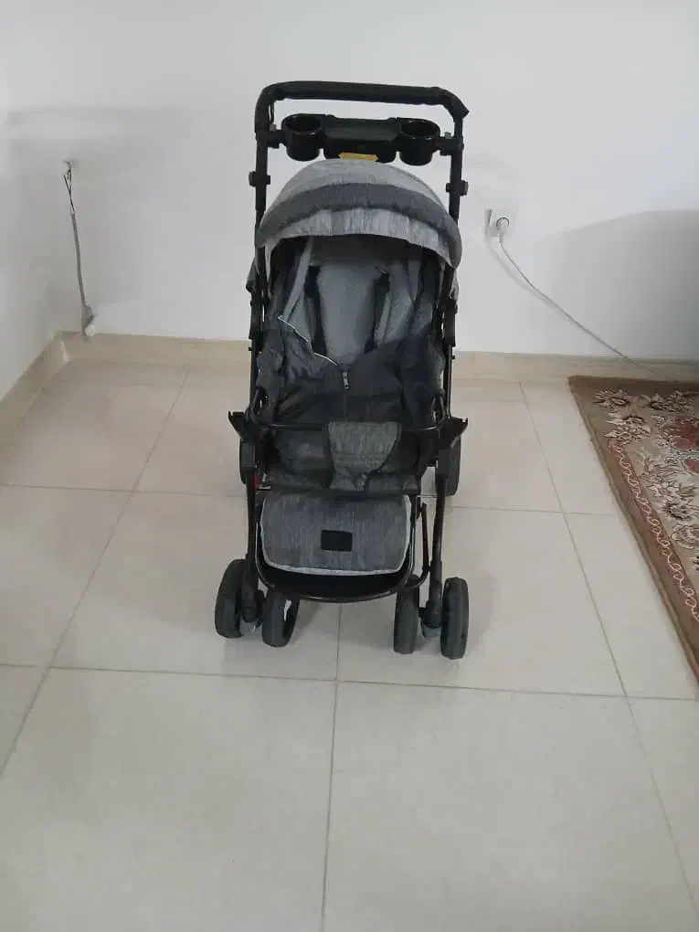 کالسکه دلیجان|کالسکه و لوازم جانبی|یزد, |دیوار