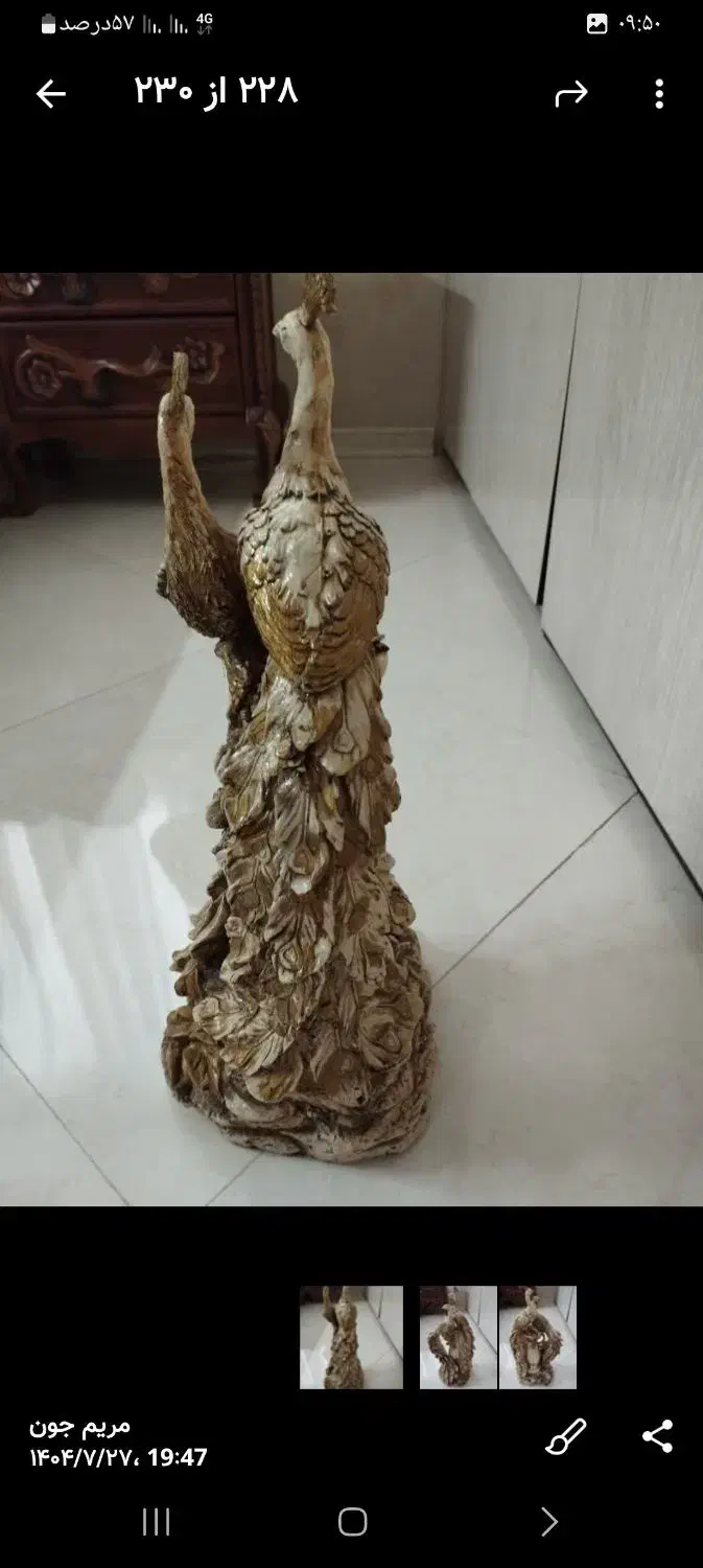 مجسمه طاووس|مجسمه، تندیس، ماکت|مشهد, دانشجو|دیوار