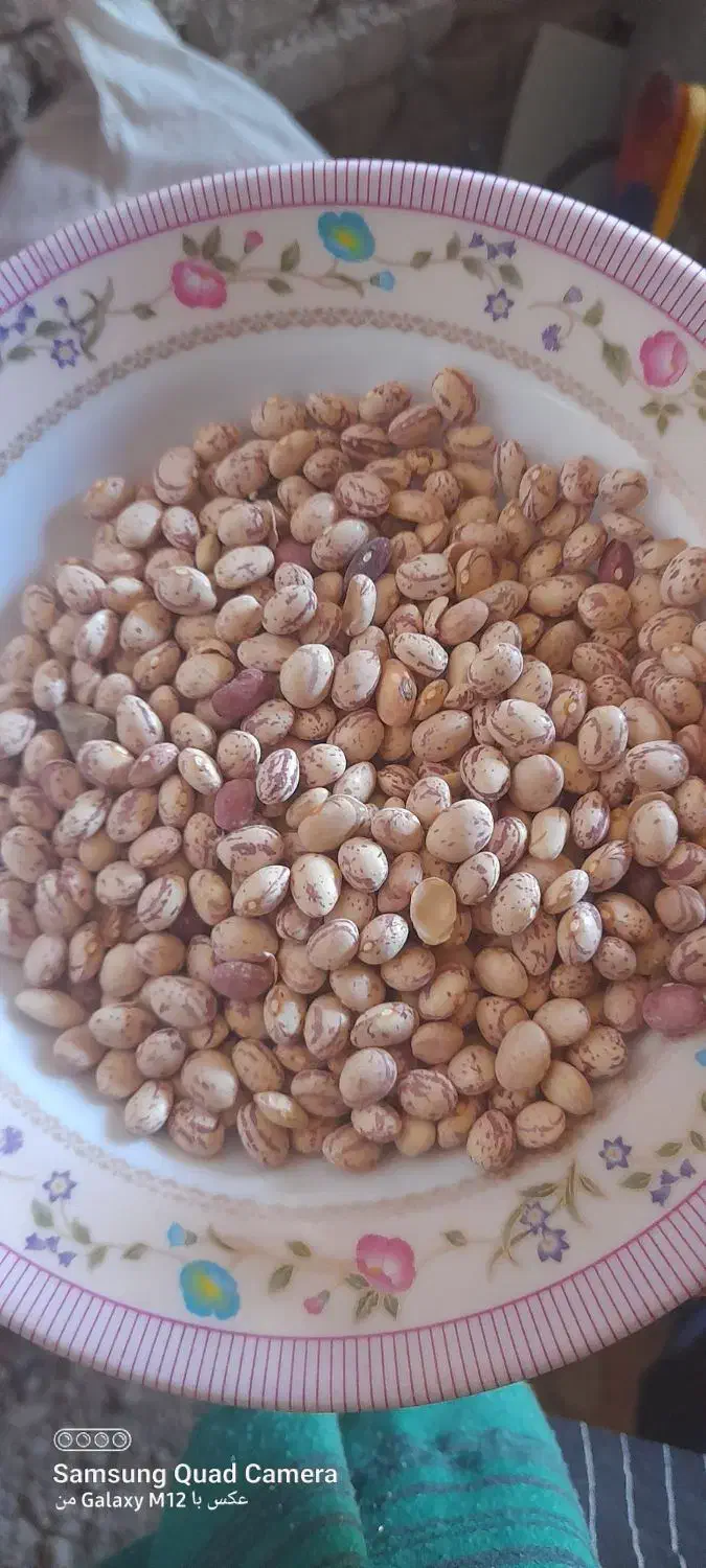 لوبیا چیتی مرغوب|عمدهفروشی|بهمن صغاد, |دیوار