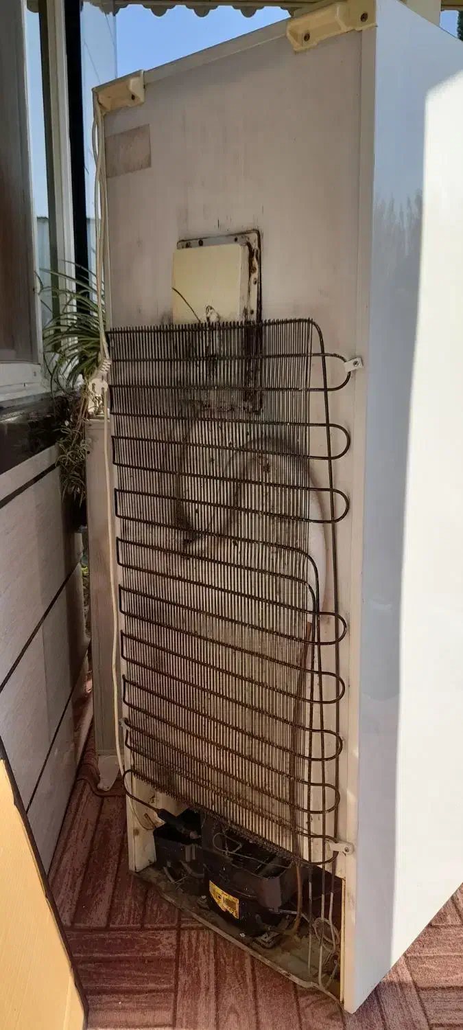 یخچال|یخچال و فریزر|ضیابر, |دیوار