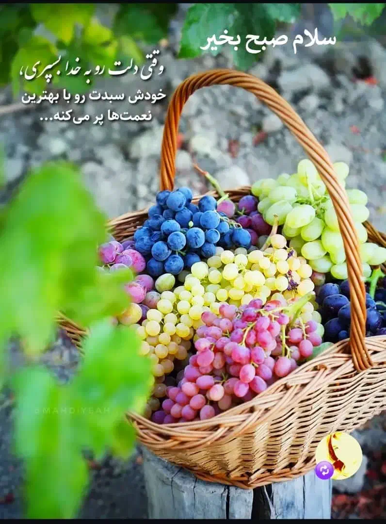 مشاوره|فعالیت داوطلبانه|قشم, |دیوار