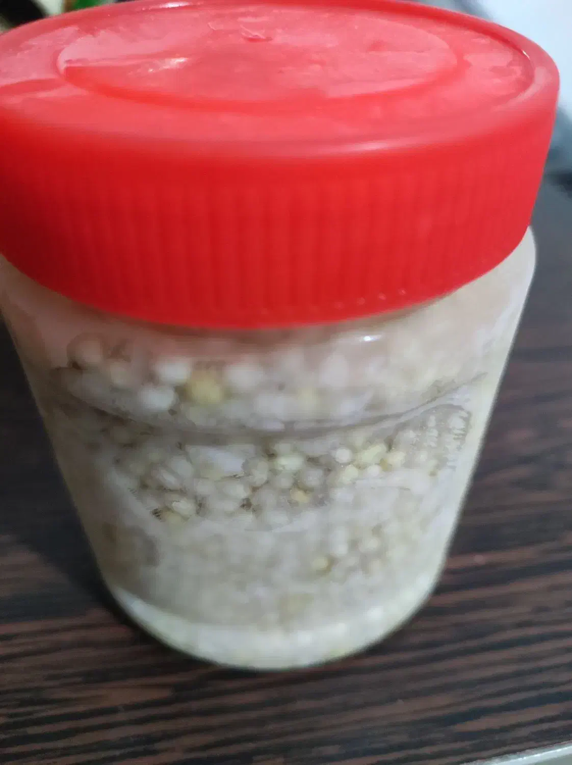 خاویار|خزنده|تهران, نازی‌آباد|دیوار