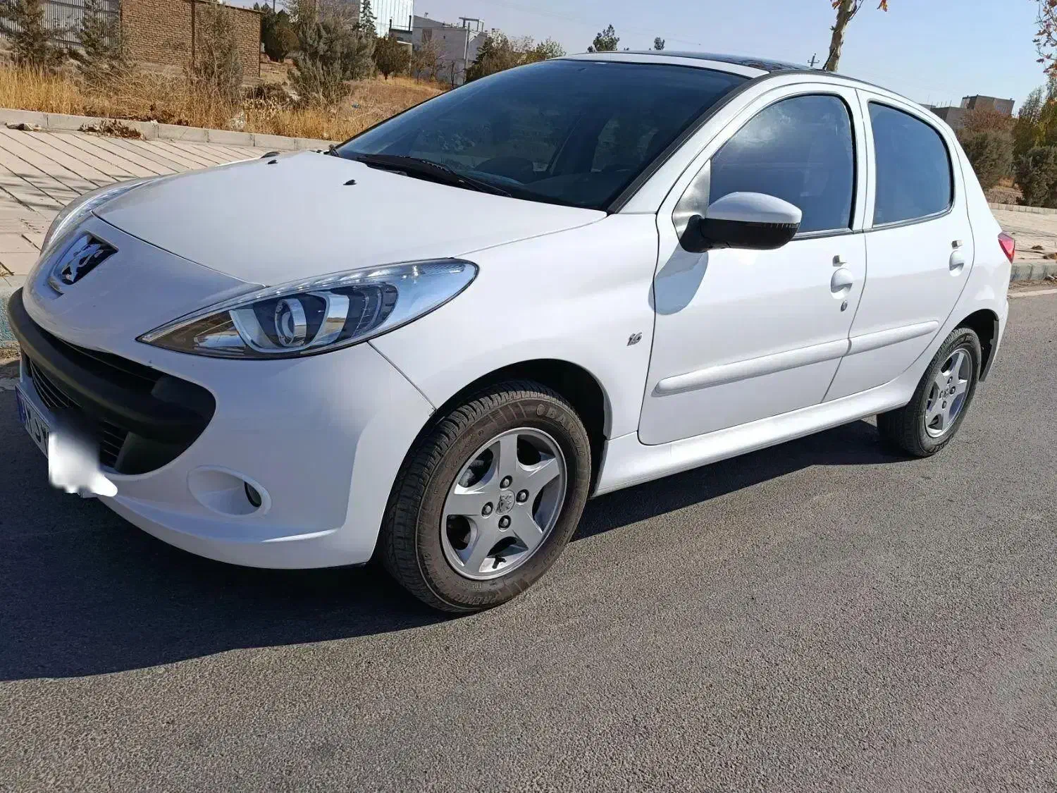 ۲۰۷پانا مدل ۱۴۰۲|خودرو سواری و وانت|خرمدره, |دیوار