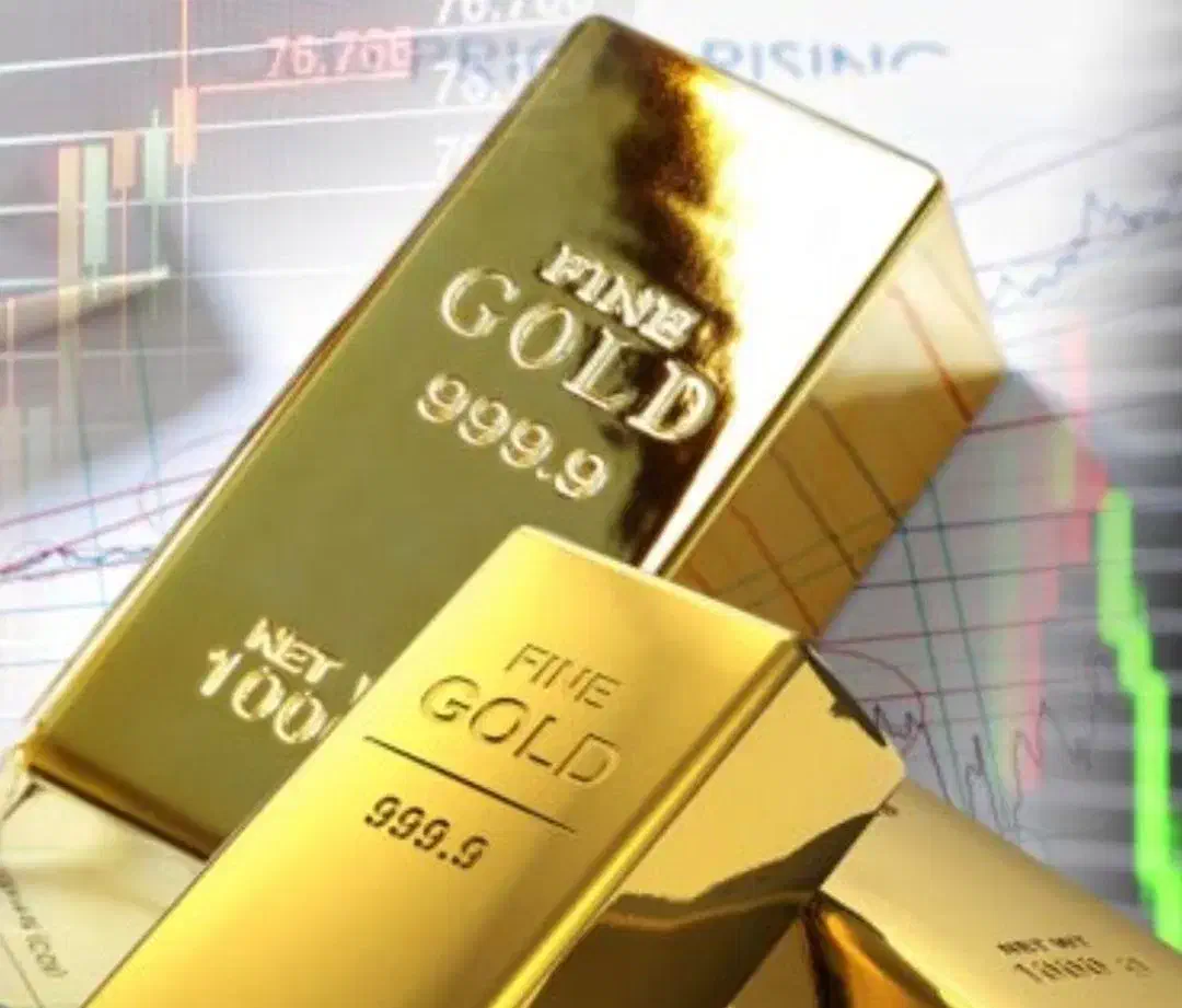 دوره ترید فارکس سی اف دی|خدمات آموزشی|رشت, منظریه|دیوار