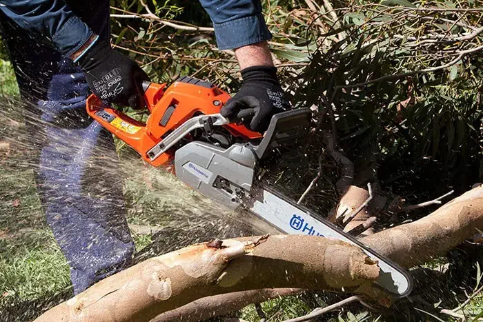 هرس، قطع درخت و خرید چوب درختان باغی|خدمات باغبانی و درختکاری|گتاب, |دیوار