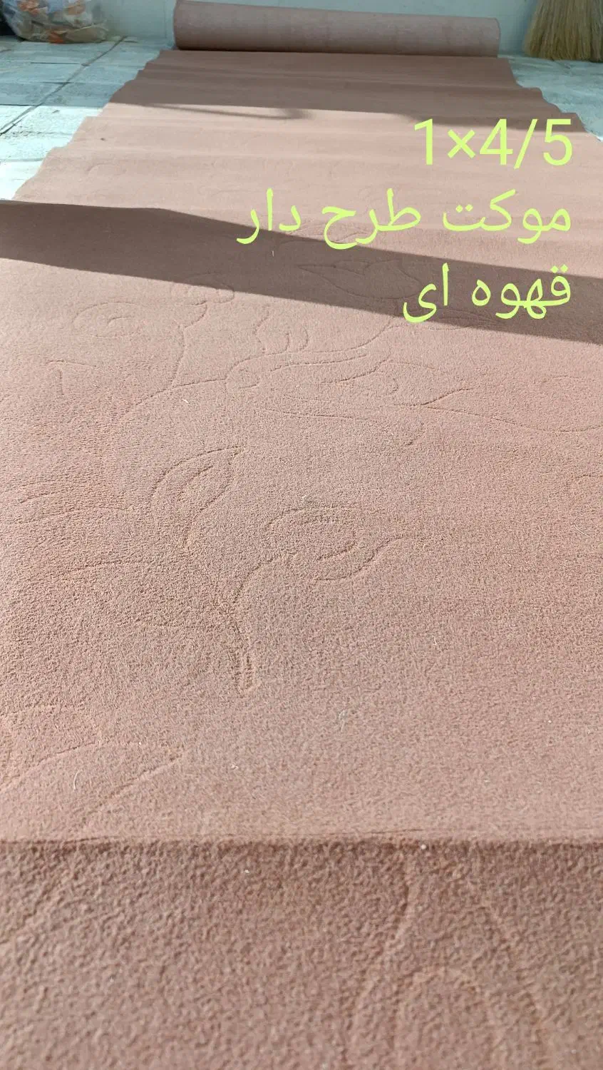 موکت|موکت|تربت‌حیدریه, داروپخش|دیوار