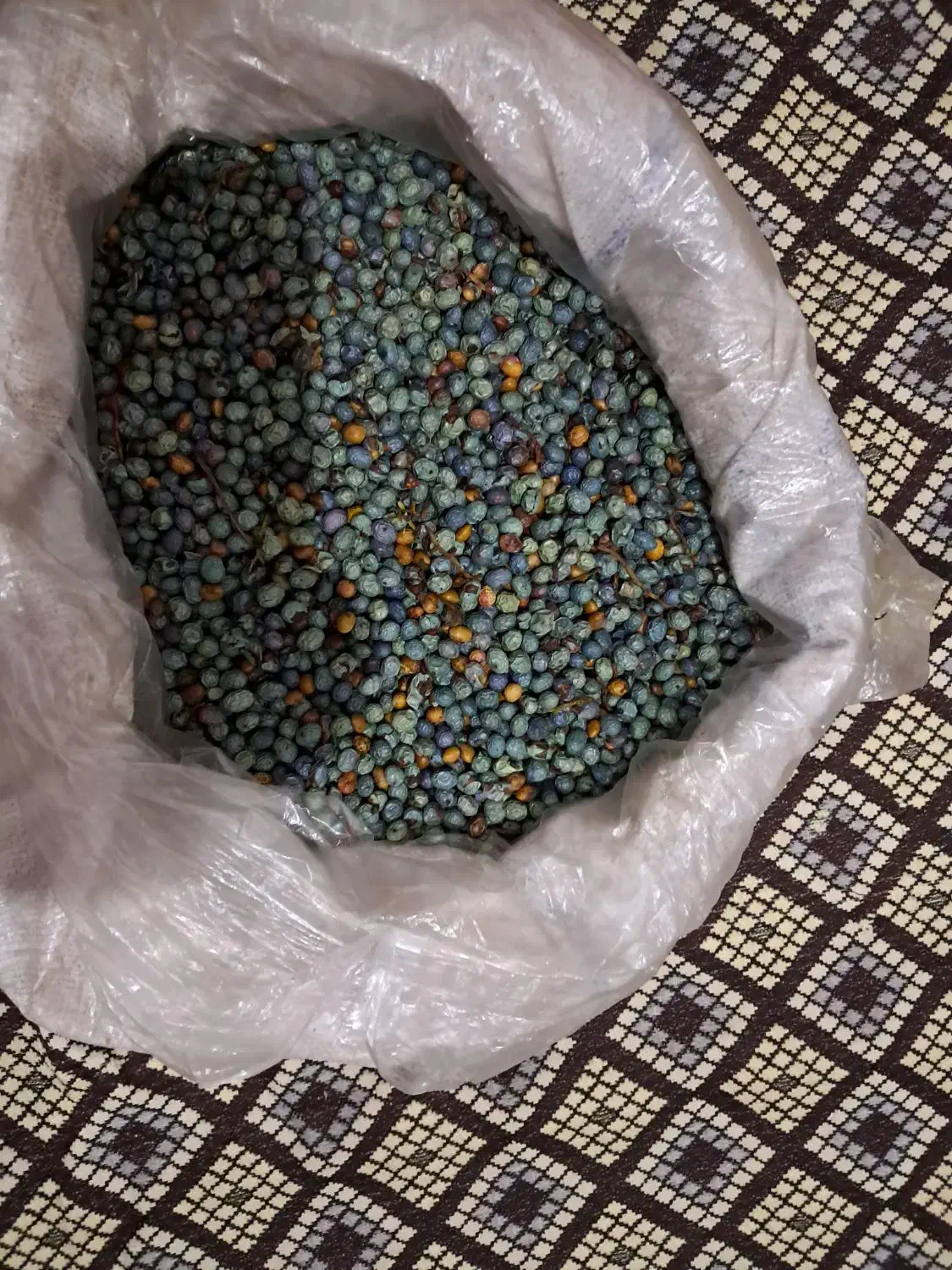 بنه تازه اعلا|خوردنی و آشامیدنی|شیراز, رکن‌آباد|دیوار