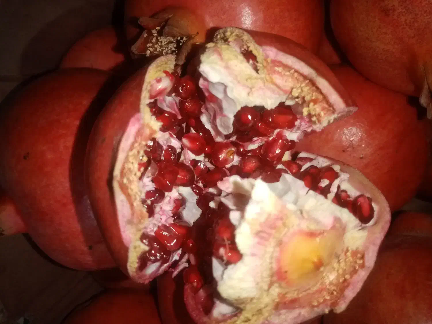 انار دونه قرمز درجه یک|خوردنی و آشامیدنی|شیراز, شریف‌آباد|دیوار