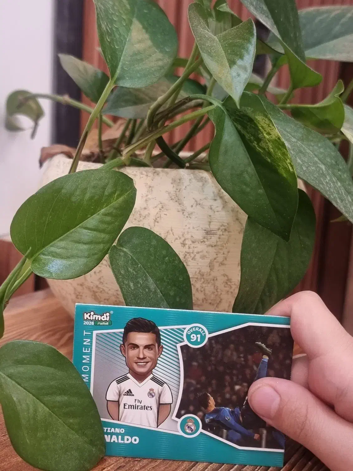 کیمدی 2026|کلکسیون و سرگرمی|تهران, حکیمیه|دیوار