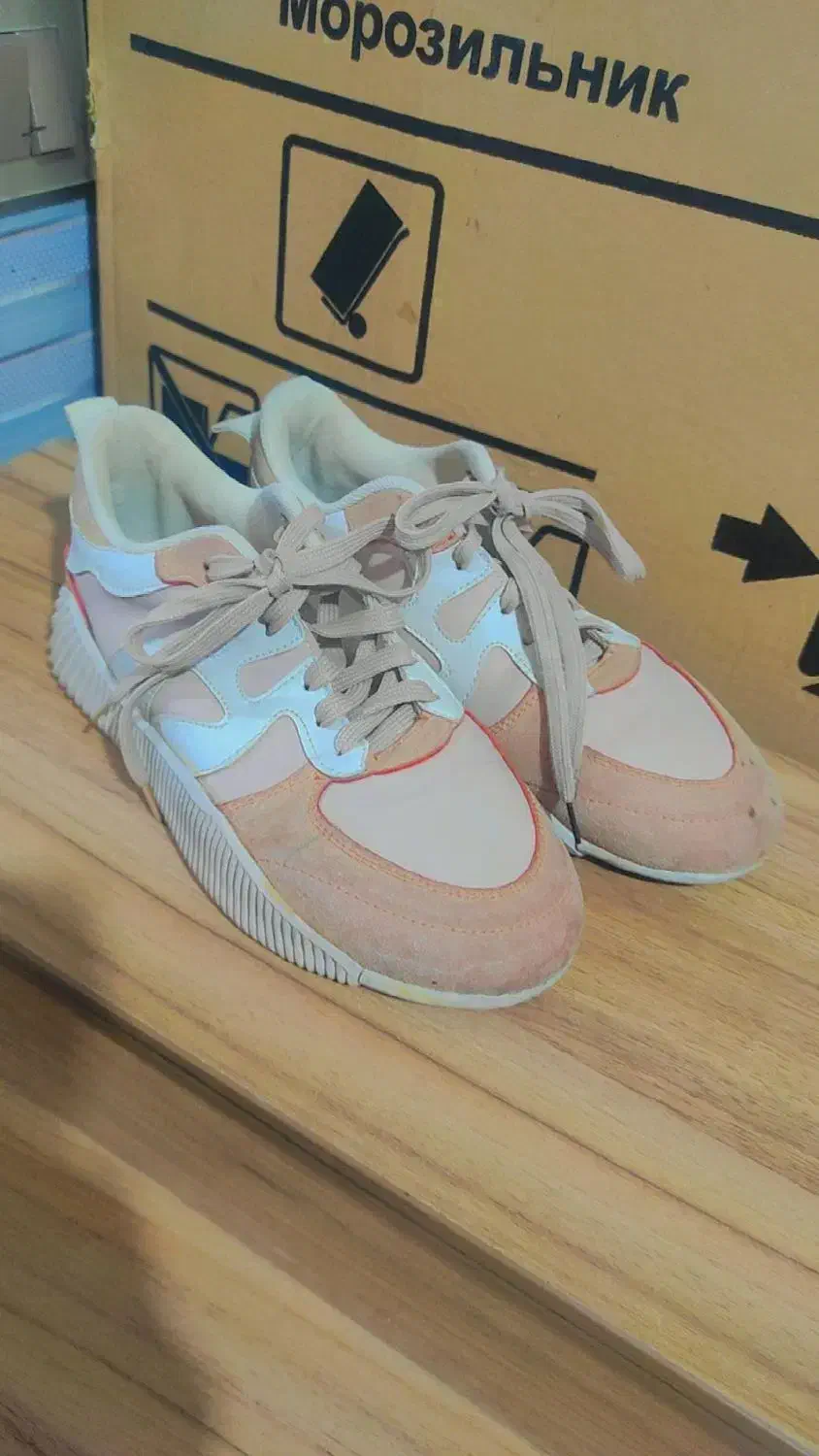 کفش|کیف، کفش، کمربند|گرگان, |دیوار