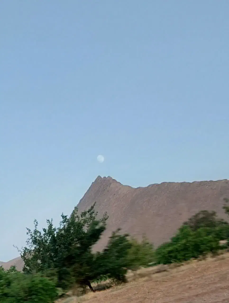 زمین کشاورزی مناسب گلخانه و باغ|فروش زمین و ملک کلنگی|عسگران, |دیوار