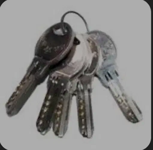 دسته کلید با آرم استقلال گم شده|اشیا|بهبهان, |دیوار