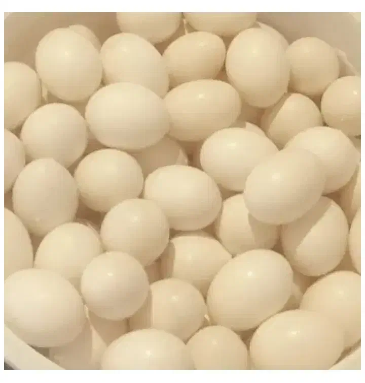 تخم کبوتر|خوردنی و آشامیدنی|بم, |دیوار