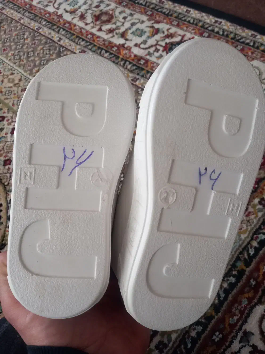 کفش دخترانه|کیف، کفش، کمربند|سلماس, |دیوار