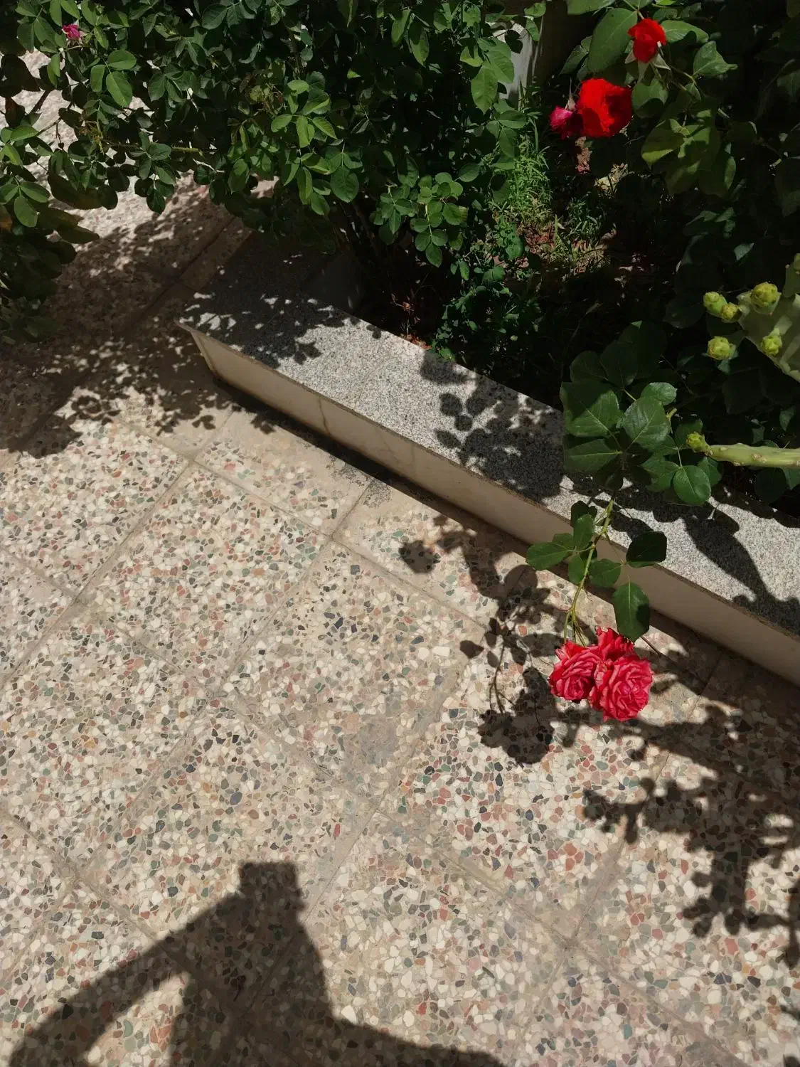 استخدام تمیزکار و اشپز خانم|استخدام سرایداری و نظافت|خمینیشهر, |دیوار