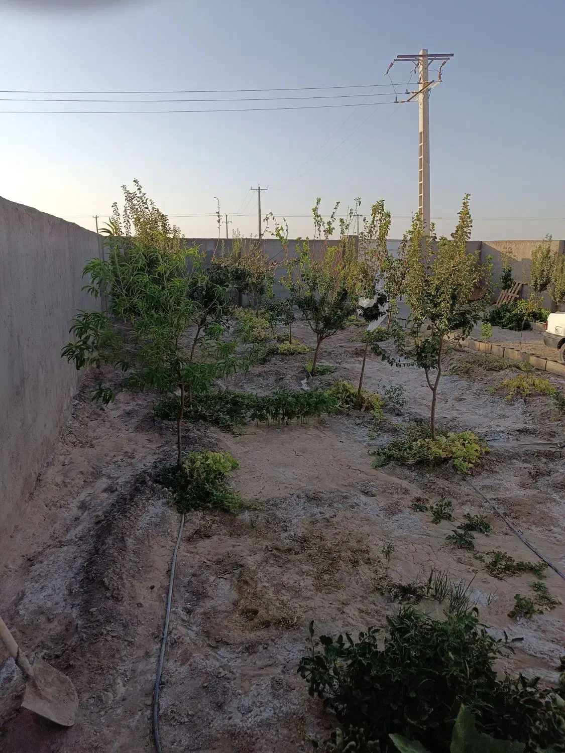 خانه باغچه|فروش خانه و ویلا|سیرجان, |دیوار