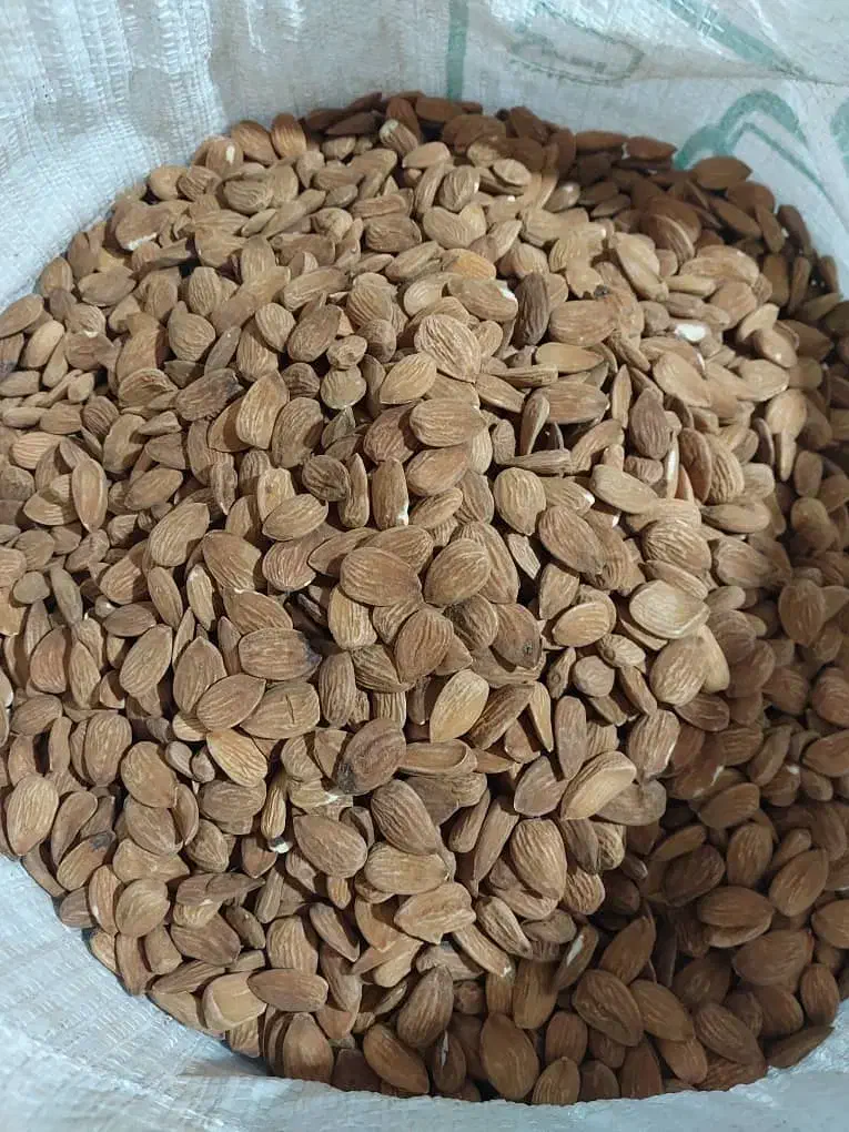 مغز بادام 7و8شاهرودی|خوردنی و آشامیدنی|سده (فارس), |دیوار