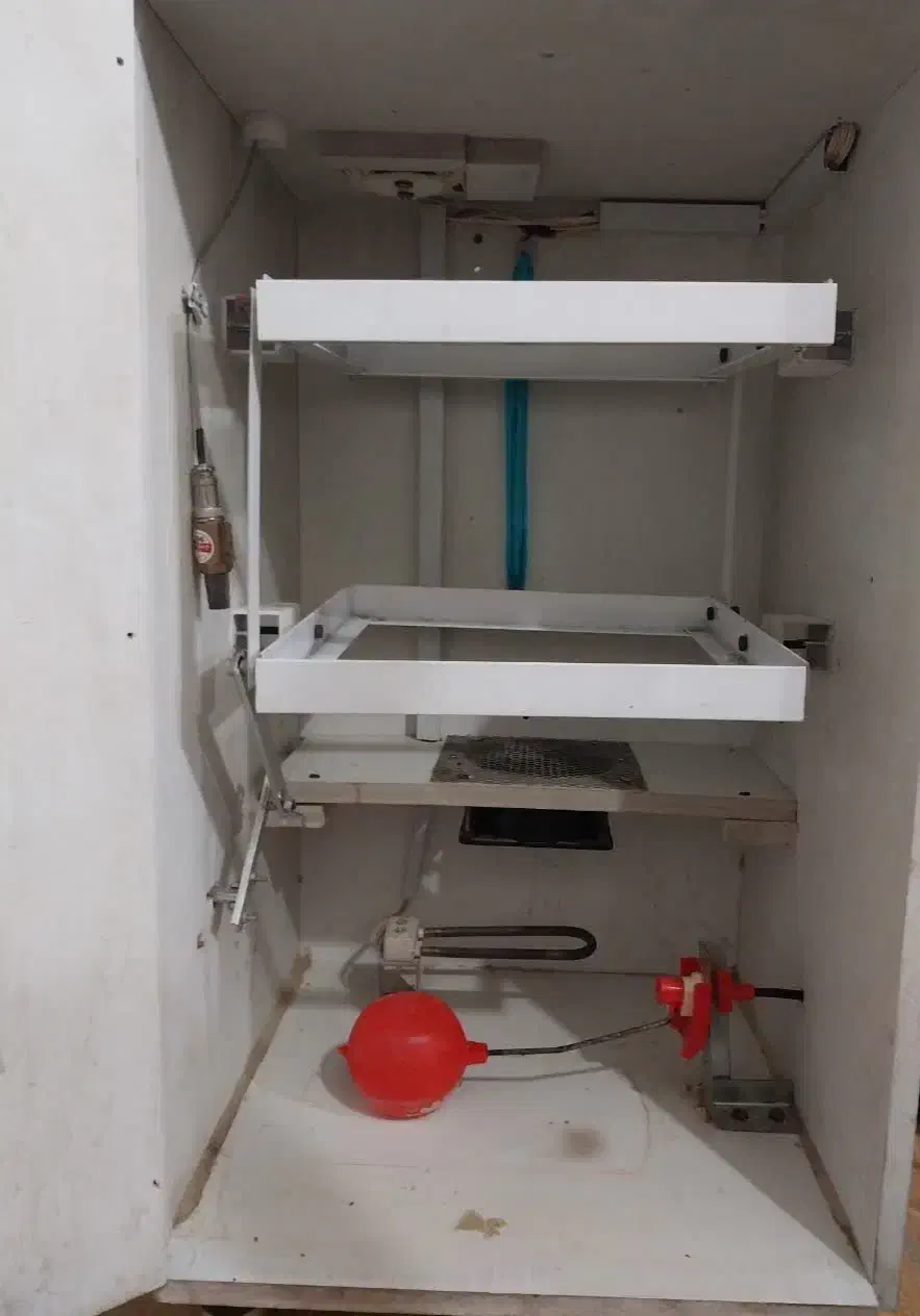 دستگاه جوجه کشی|لوازم جانبی حیوانات|یزد, |دیوار