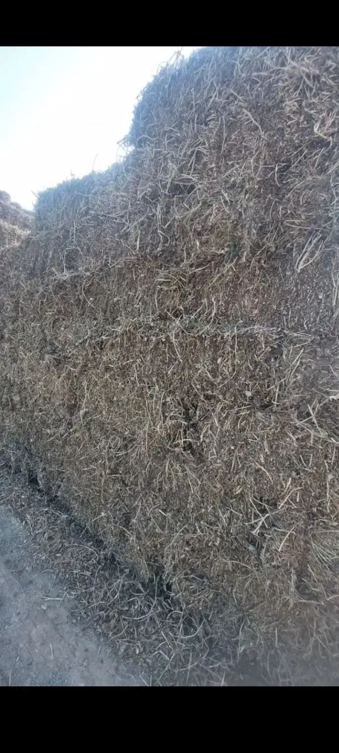 علف بادام زمینی|لوازم جانبی حیوانات|قشلاق دشت, |دیوار