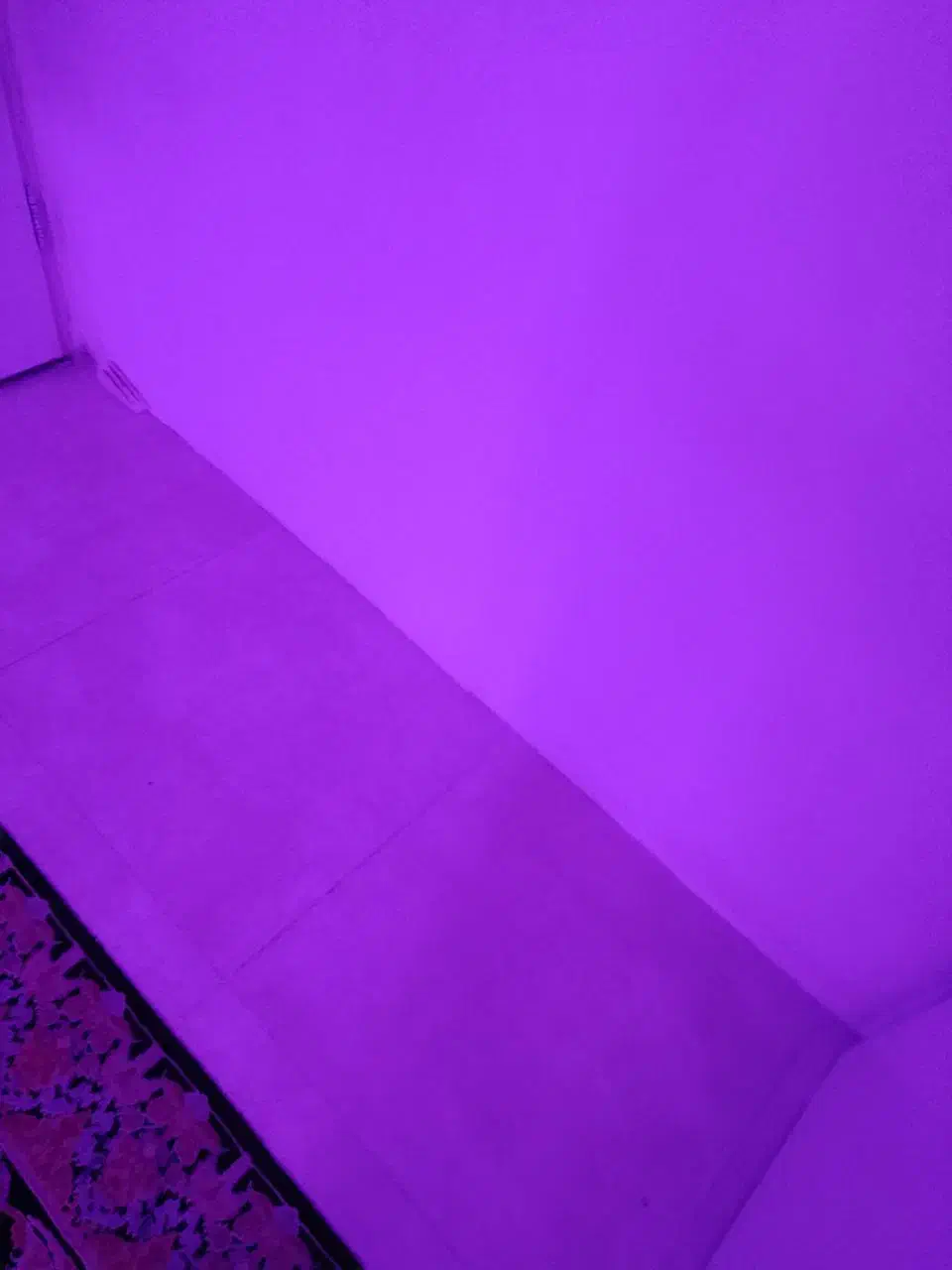 دیوار خونه|ریسه و چراغ تزئینی|ابهر, |دیوار