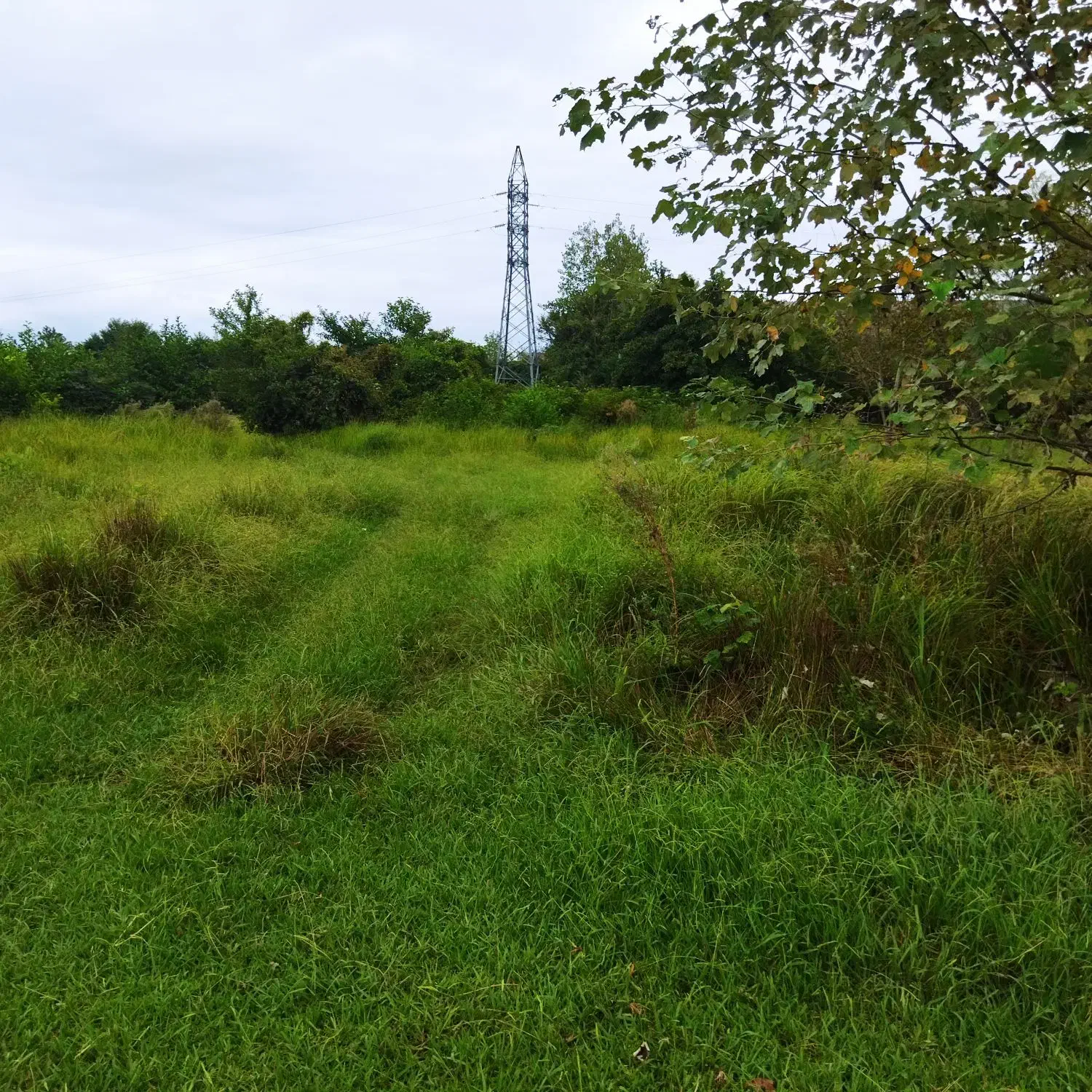 فروش یک قطعه زمین جاده انزلی|فروش زمین و ملک کلنگی|رشت, پیله داربن|دیوار