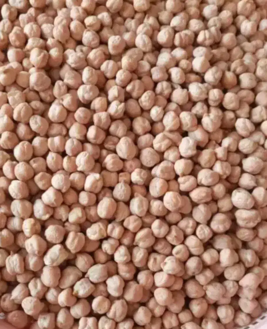 نخود خرمنی ۱۱۰|خوردنی و آشامیدنی|خرمدره, |دیوار