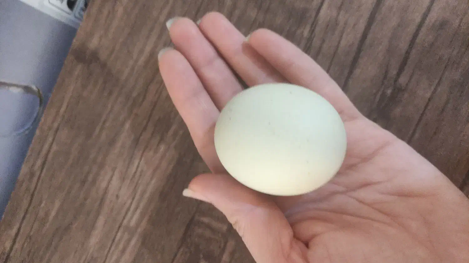 سنگ الماس|کلکسیون اشیاء عتیقه|برخوار, |دیوار