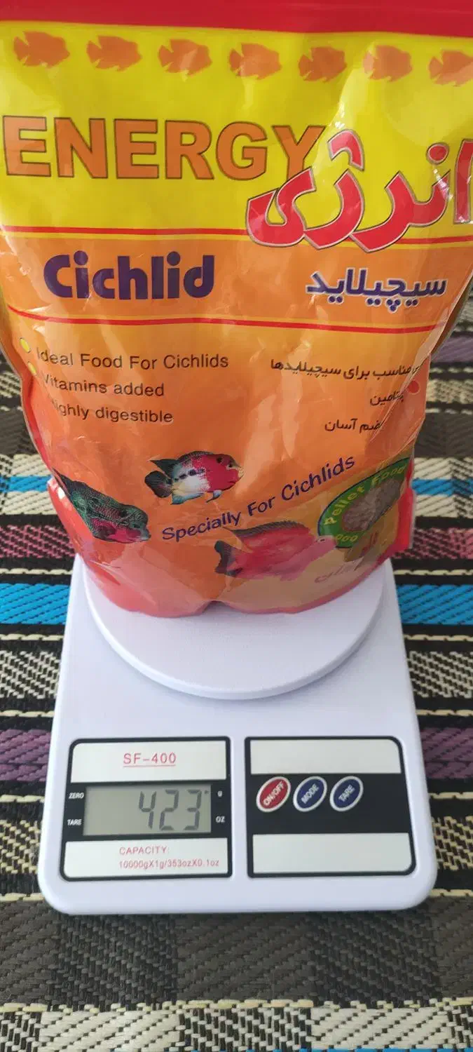 غذا ماهی انرژی|ماهی|بجنورد, |دیوار